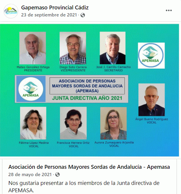 JUNTA DIRECTIVA DE APEMASA. PRESIDENTE GAPEMASO VICEPRESIDENTE